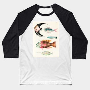 Fishes found in Indonesia and the East Indies (1678 -1746) Baseball T-Shirt